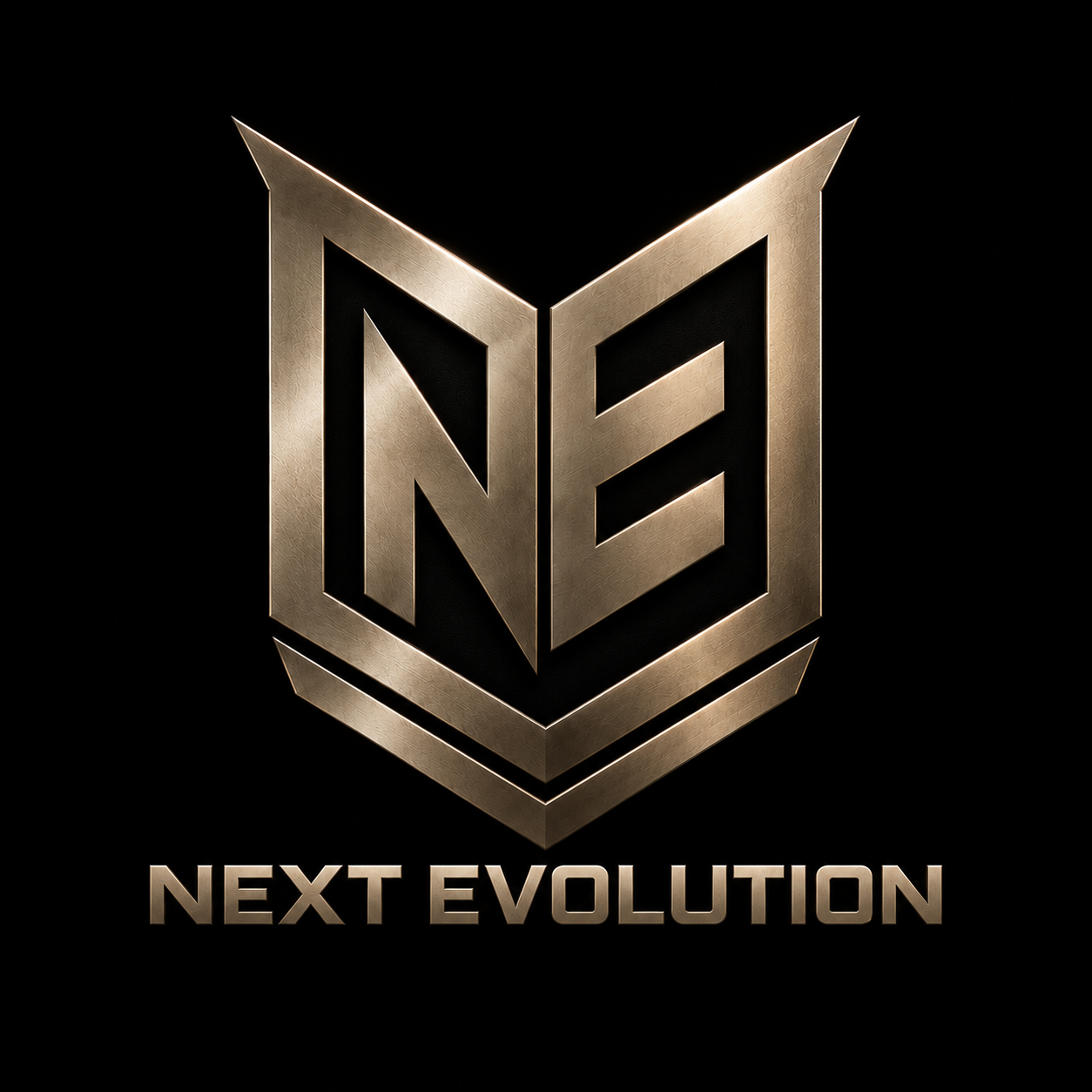 Next Evolution logo